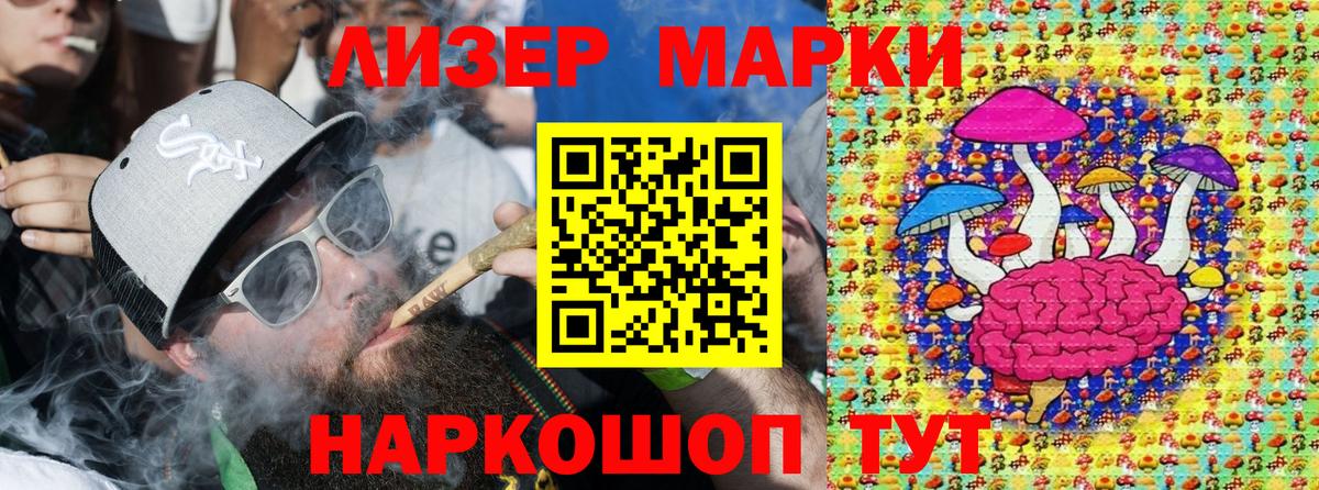 цена   Вход с VPN  Советск  Марки NBOMe 1,8мг  Марки NBOMe 1,8мг  Марки NBOMe 
