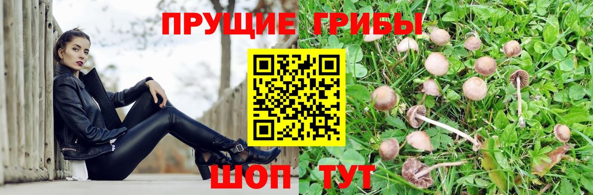 Псилоцибиновые грибы ЛСД  Вход с VPN  Советск 