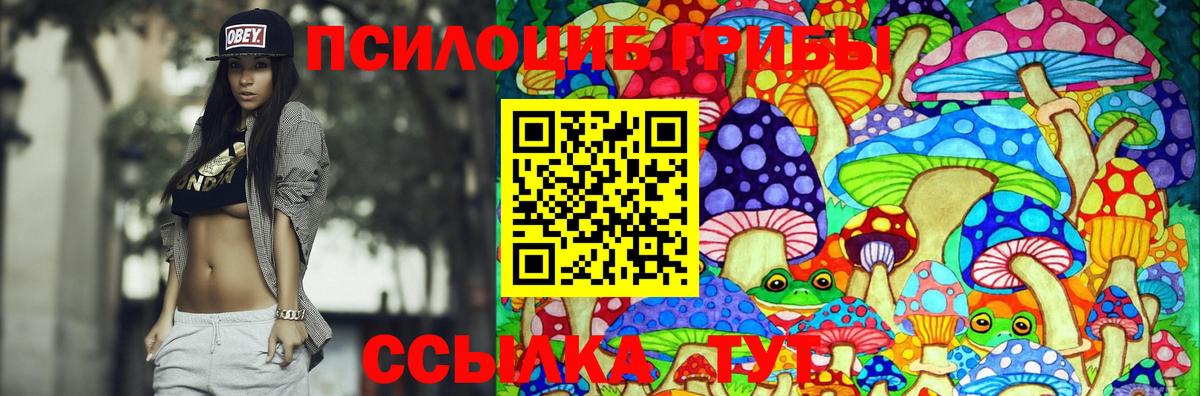 Псилоцибиновые грибы Psilocybe Советск